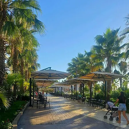 Sun-kissed Memories, Winter On The アパート *