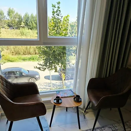 Sun-kissed Memories, Winter On The Apartamento