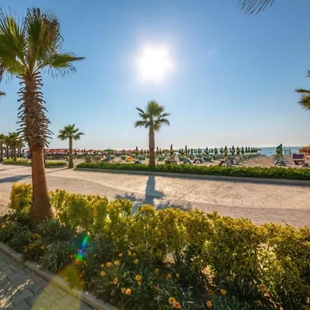 Sun-kissed Memories, Winter On The Apartamento